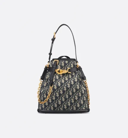Dior Medium C'est Dior Bag