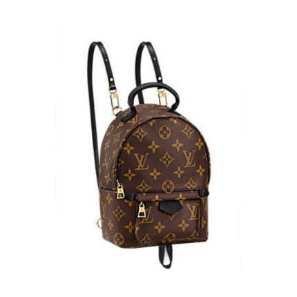 Louis Vuitton LV Palm Springs Backpack Mini&Small&Medium Bag