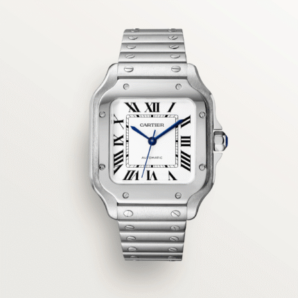 Cartier Santos Stainless Steel Men's Watch, WSSA0029