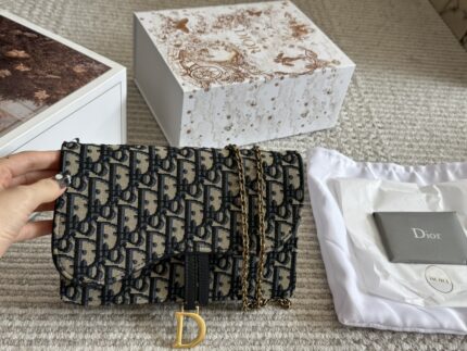 Dior saddle woc Shoulder Bag